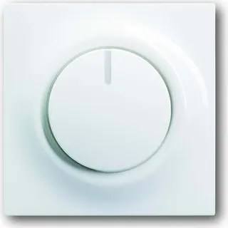 Busch-Jaeger Busch-Jaeger, Zentralscheibe