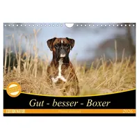 Calvendo Gut - besser - Boxer (Wandkalender 2026 DIN