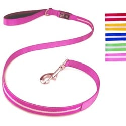 Petsation Hundeleine Leuchtend pink