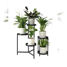 Plant in a Box - Luftreinigende Zimmerpflanzen - 5 Stk - Höhe 25-40cm - Topf 12cm