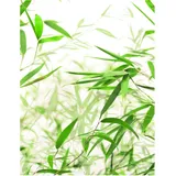 KOMAR Wandbild Bamboo Leaves 40 x 50 cm