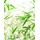 KOMAR Wandbild Bamboo Leaves 40 x 50 cm