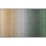 Wash+Dry Fußmatte, Green Desert 115x175cm, innen und außen, waschbar