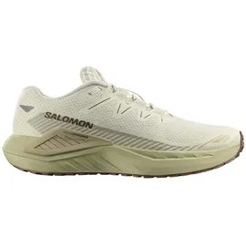 Salomon Drx Defy Grvl Herren Vanilla Ice/Green Haze/White Pepper 46 2/3
