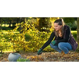 Bosch Gartenhandrechen 06008B5600