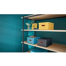 Leitz Click & Store Cosy Aufbewahrungsbox mittel, A4, gelb