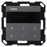 Gira Unterputz-Radio IP Anthrazit 232028