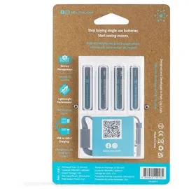 PaleBlue AAA 600 mAh 4 St.