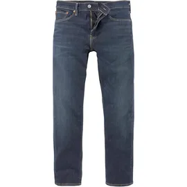 Levi's Herren Taper Jeans 502 in Biologia W30 / L34