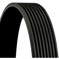 Continental Keilrippenriemen