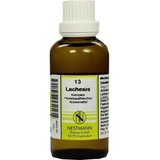 Nestmann Lachesis Komplex Nr.13 Dilution