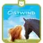 Tiger Media tigercard Ostwind 2 Rückkehr nach Kaltenbach