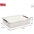 SUNWARE Q-Line Aufbewahrungsbox 80 x 50 x 18 cm 1-tlg. transparent/silber