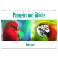 Calvendo Papageien und Sittiche - Kunstbilder (Wandkalender 2026 DIN