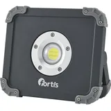 Fortis 4317784704205
