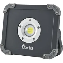 Fortis 4317784704205