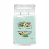 Yankee Candle Aloe & Agave Duftkerze 567 g grün