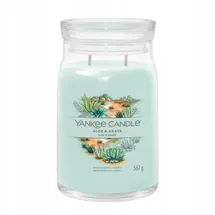 Yankee Candle Aloe & Agave Duftkerze 567 g grün