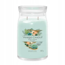 Yankee Candle Aloe & Agave Duftkerze 567 g grün