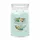 Yankee Candle Aloe & Agave Duftkerze 567 g grün