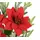 I.GE.A. Kunstblumenstrauß I.GE.A. "Strauß Poinsettia/Tannenzweige", rot, B:17cm H:37cm L:12cm, Polyester, Kunstpflanzen, 2er Set Weihnachtsdeko Weihnachtsblume Sträuße Dekoblumen Christstern