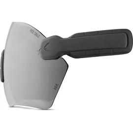 protos® Schutzbrille E