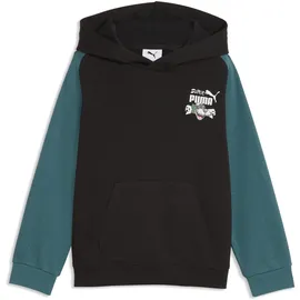 Puma Hoodie Black 116