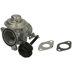 AGR Ventil BORG WARNER 7283D