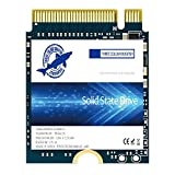 Dogfish SSD 256GB M.2 2230 NVMe PCIe Gen 3.0 x4 Interne Solid State Drive, Gaming SSD, Kompatibel mit Steam Deck Surface Pro Ultrabook Laptop(M.2 2230 PCIe,256GB)