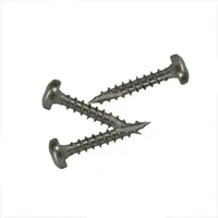 Pfostenkappen-Schrauben mit Cutspitze, aus Edelstahl, Paket: 25 Schrauben + Torx-Bit