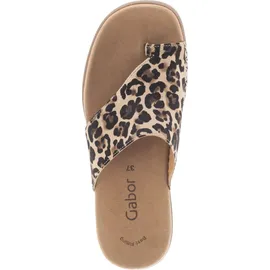 Gabor 83.700 beige 41