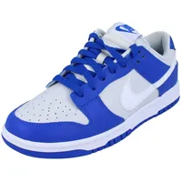Nike Dunk Low Herren Blau/Grau/Weiß 45