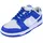 Nike Dunk Low Herren Blau/Grau/Weiß 45