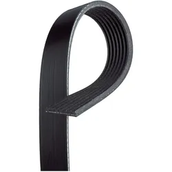 Gates Keilrippenriemen Passend Für Ford Ranger 7pk3143: Keilrippenriemen Ford Usa: 1830928 Ford Usa: 1885699 Ford Usa: Ab396c301ga Ford Usa: Fb3q6c301