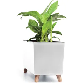 Prosperplast Urbi Case 77 x 23,5 x 30 cm Weiß