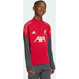 adidas FC Liverpool Sweatshirt 2025/26 rot Kinder Gr. 164