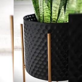 KADIMA DESIGN Ø 2 x 2 cm Schwarz / Gold