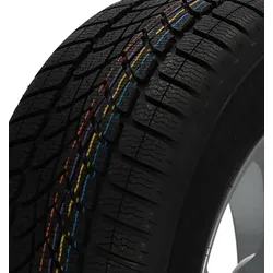 SP Winter Sport 4D 285/30 R21 100W XL RO1 Winterreifen