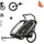 hauck Bike N Walk Duo Fahrradanhänger grau