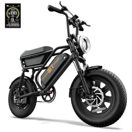 urlife T16 48V 13Ah 16 Zoll RH 0 cm Unisex schwarz
