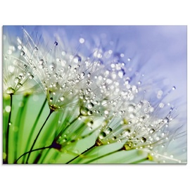 Artland Glasbild »Glitzernde Pusteblume«, Blumen, (1 St.), in verschiedenen Größen, blau