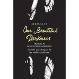 Harry N. Abrams Our Beautiful Darkness: A Graphic Novel