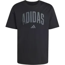 adidas Collegiate Lineage Graphic T-Shirt, black S