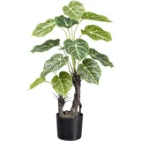 Creativ green Kunstpalme Nephtytispflanze Grünpflanze, Creativ green, Höhe 70 cm, mit großen Blättern grün