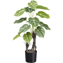 Creativ green Kunstpalme Nephtytispflanze Grünpflanze, Creativ green, Höhe 70 cm, mit großen Blättern grün