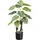 Creativ green Kunstpalme Nephtytispflanze Grünpflanze, Creativ green, Höhe 70 cm, mit großen Blättern grün