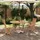 vidaXL Garten Bistro Set 3-tlg. Braun