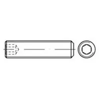 F. REYHER Nchfg. GmbH & Co. KG Gewindestift DIN 913 Kegelkuppe/Innen-6kt M10 x 20 200 Stück