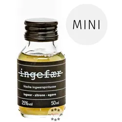 ingefær Shot Ingwer-Spirituose