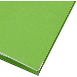 Leitz Ordner DIN A4 80 mm Hellgrün 1 St.